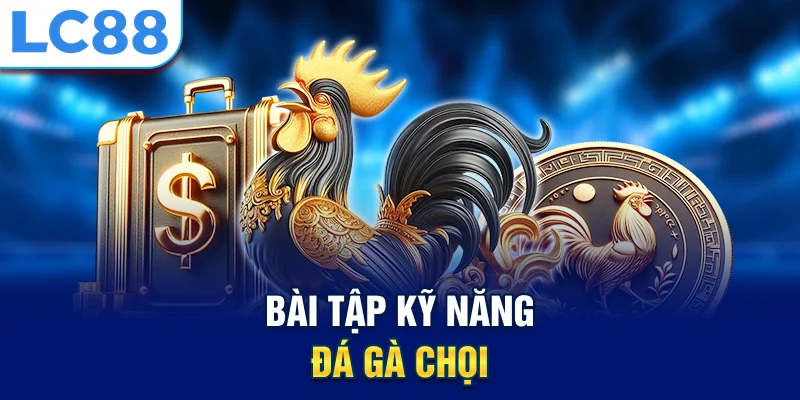 Bài tập kỹ năng đá gà chọi