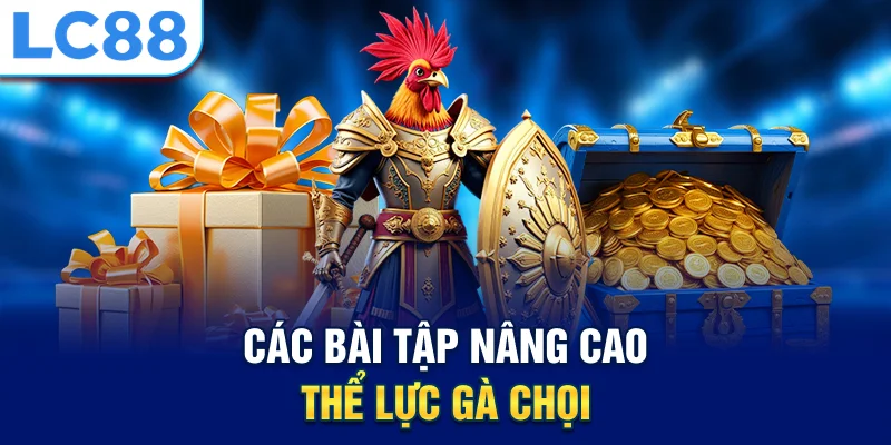 Các bài tập nâng cao thể lực gà chọi