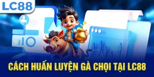 Cách huấn luyện gà chọi