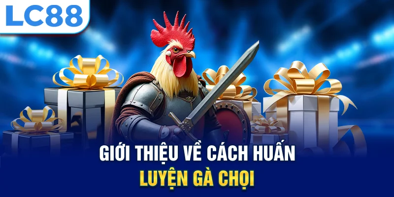 Giới thiệu về cách huấn luyện gà chọi