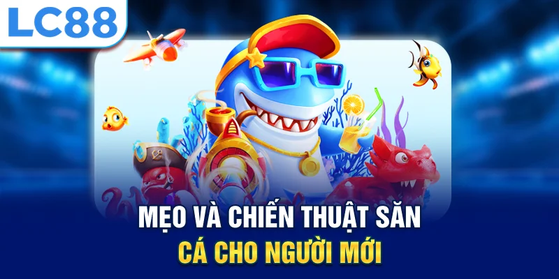 Mẹo và chiến thuật săn cá cho người mới