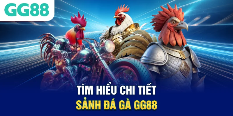 Tìm hiểu chi tiết sảnh đá gà GG88